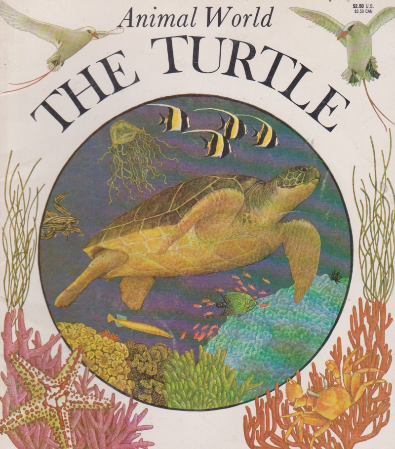Click to toggle cover