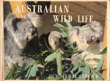 Australian Wild Life  ...  in Natural Colour