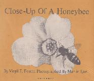 Close-Up Of A Honeybee