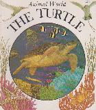 Animal World: THE TURTLE 