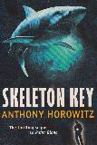 SKELETON KEY (The thrilling sequel to Point Blanc)